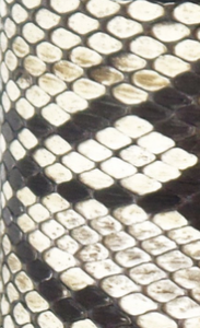 SALE Six Wrap Bracelet Natural Python